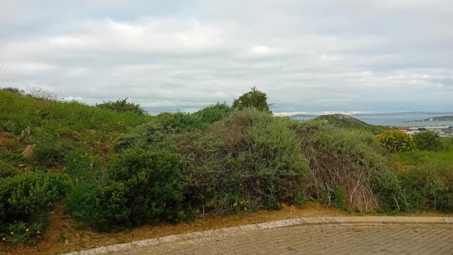 0 Bedroom Property for Sale in Hoogland Western Cape